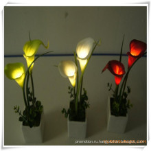 Мини Калла светодиодные искусственные цветы с керамикой горшок для Промотирования